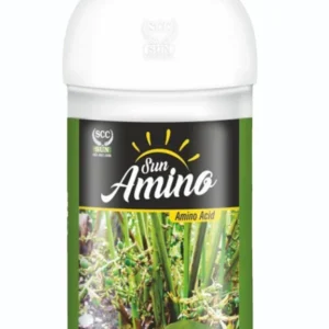 amino